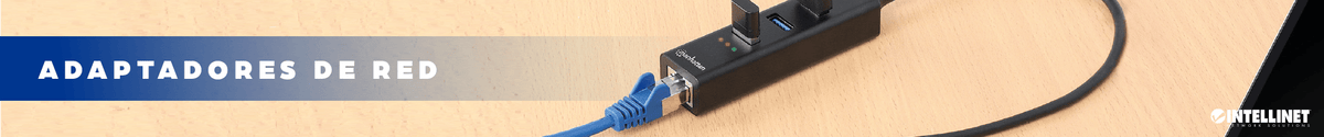 Adaptadores de red - Intellinet México