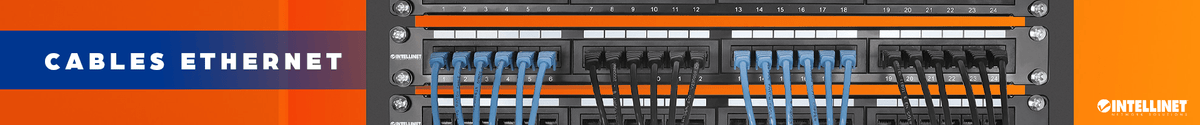 Cables ethernet - Patch cords - Intellinet México
