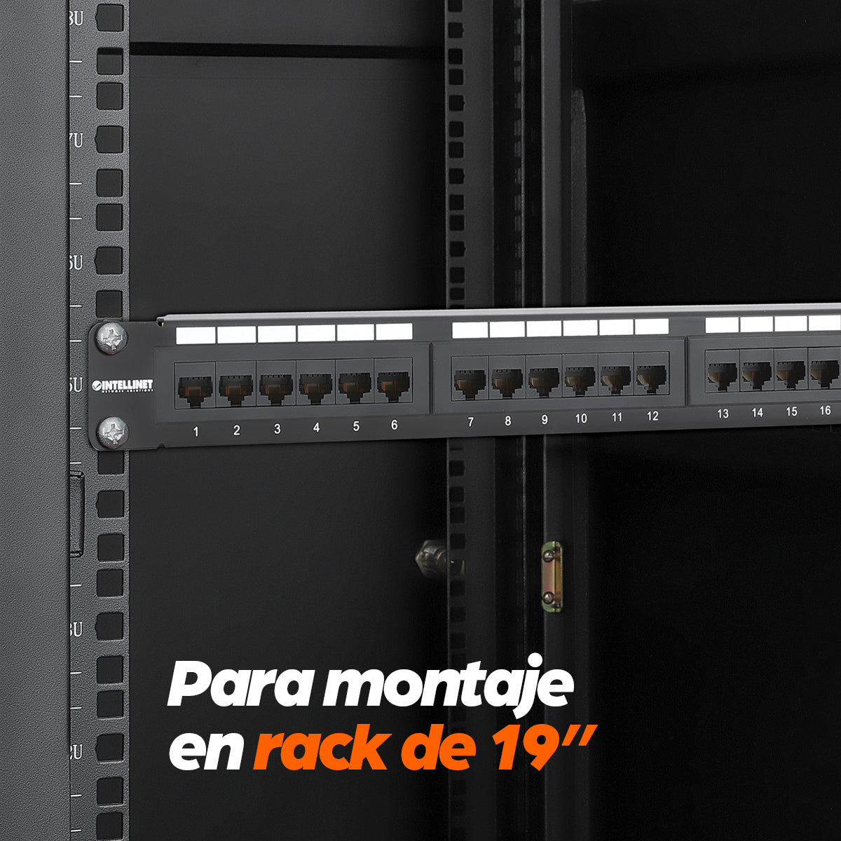 Panel de Parcheo Cat6