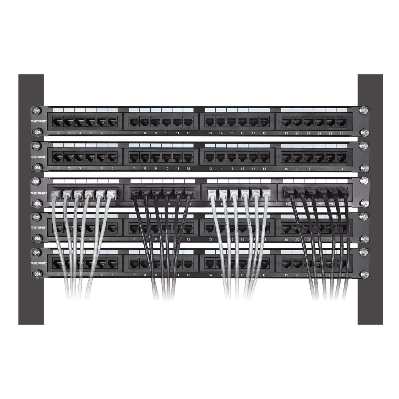 Paquete de 10 cables patch slim Cat6, 3.0 m, U/UTP, Blanco - Intellinet México