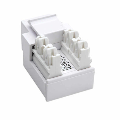 JACK RJ11 RJ12 KEYSTONE DE IMPACTO BLANCO Image 5