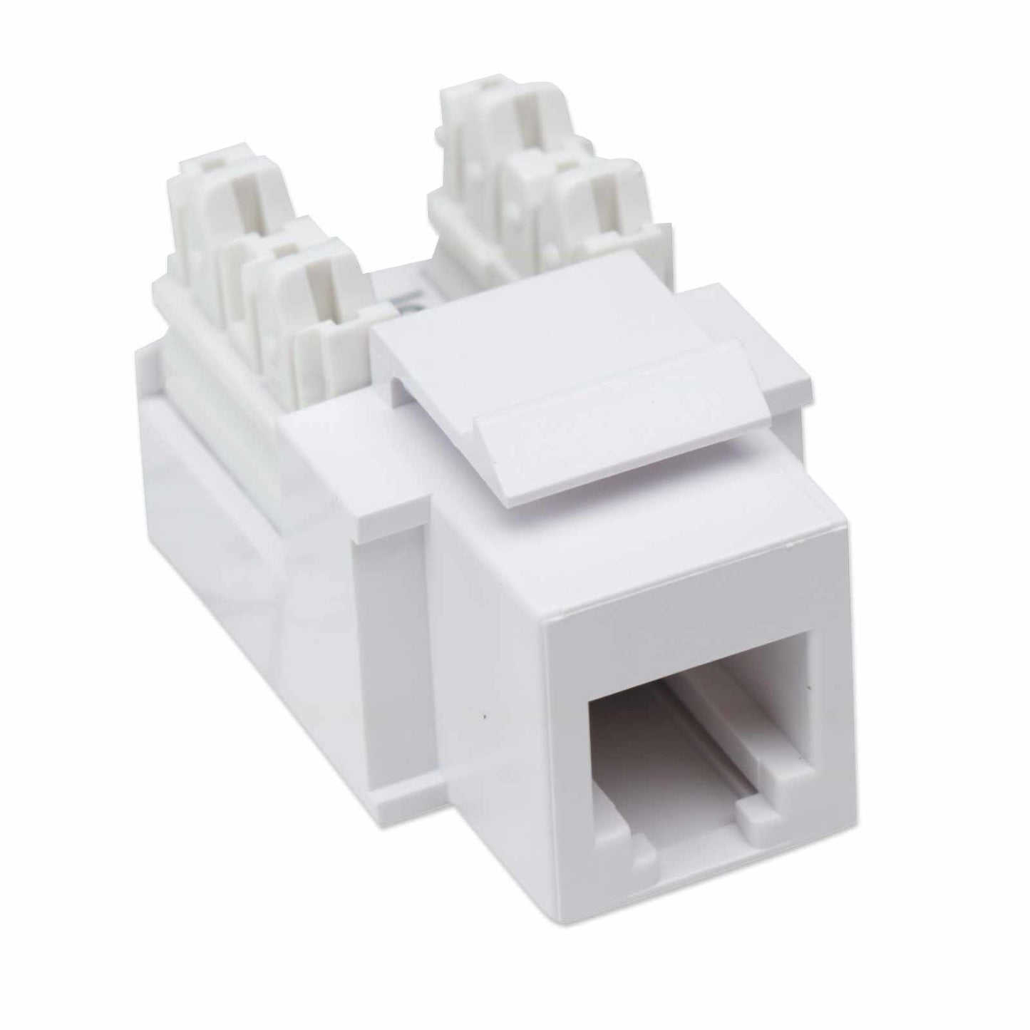 JACK RJ11 RJ12 KEYSTONE DE IMPACTO BLANCO Image 3