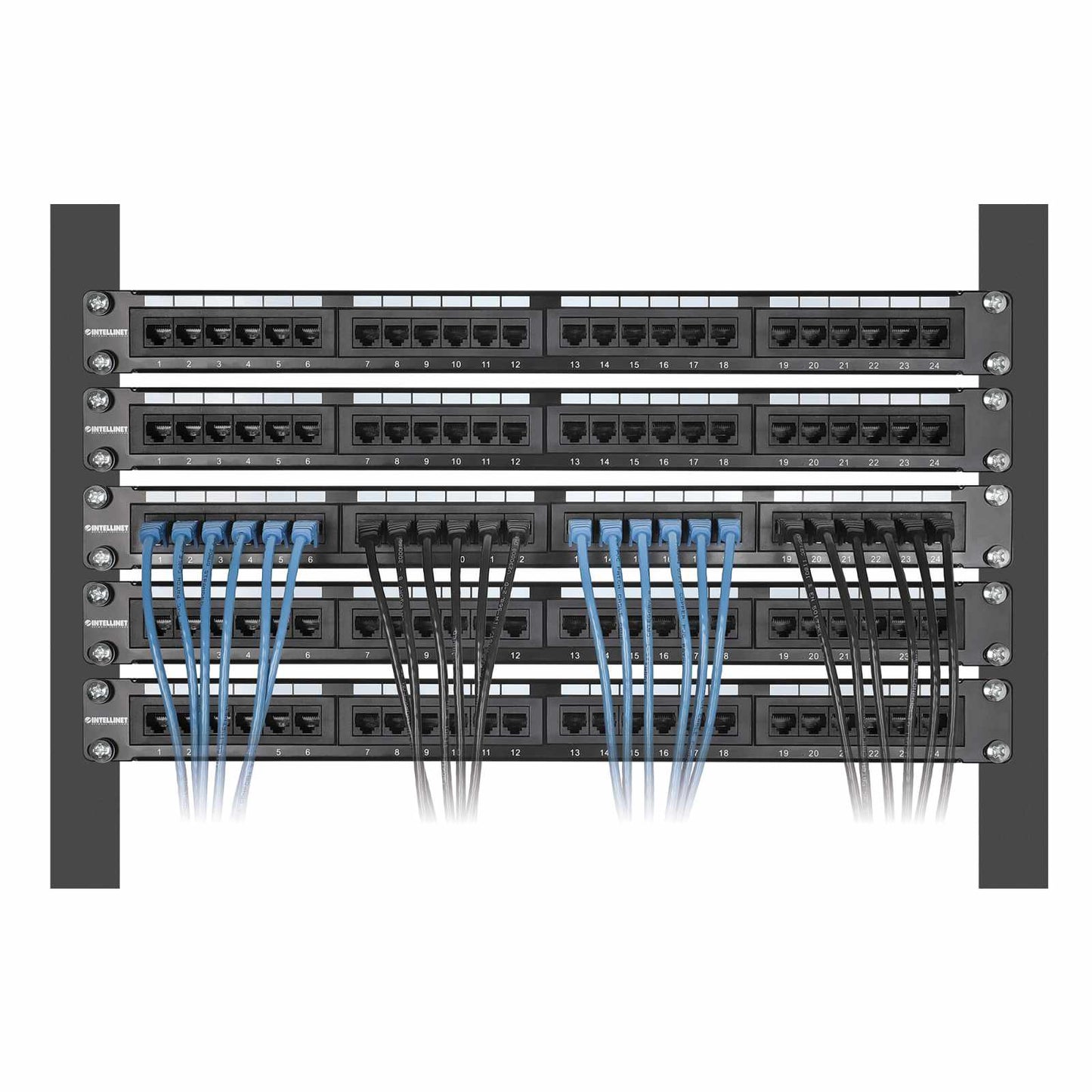 Paquete de 10 cables patch slim Cat6, 0.15 m, U/UTP, Azul Image 6